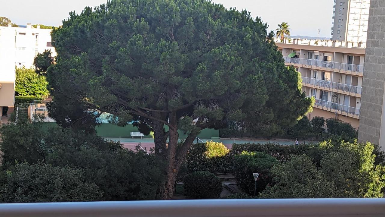 Studio Climatise Avec Coin Nuit 150M De La Plage Le Lavandou Eksteriør bilde